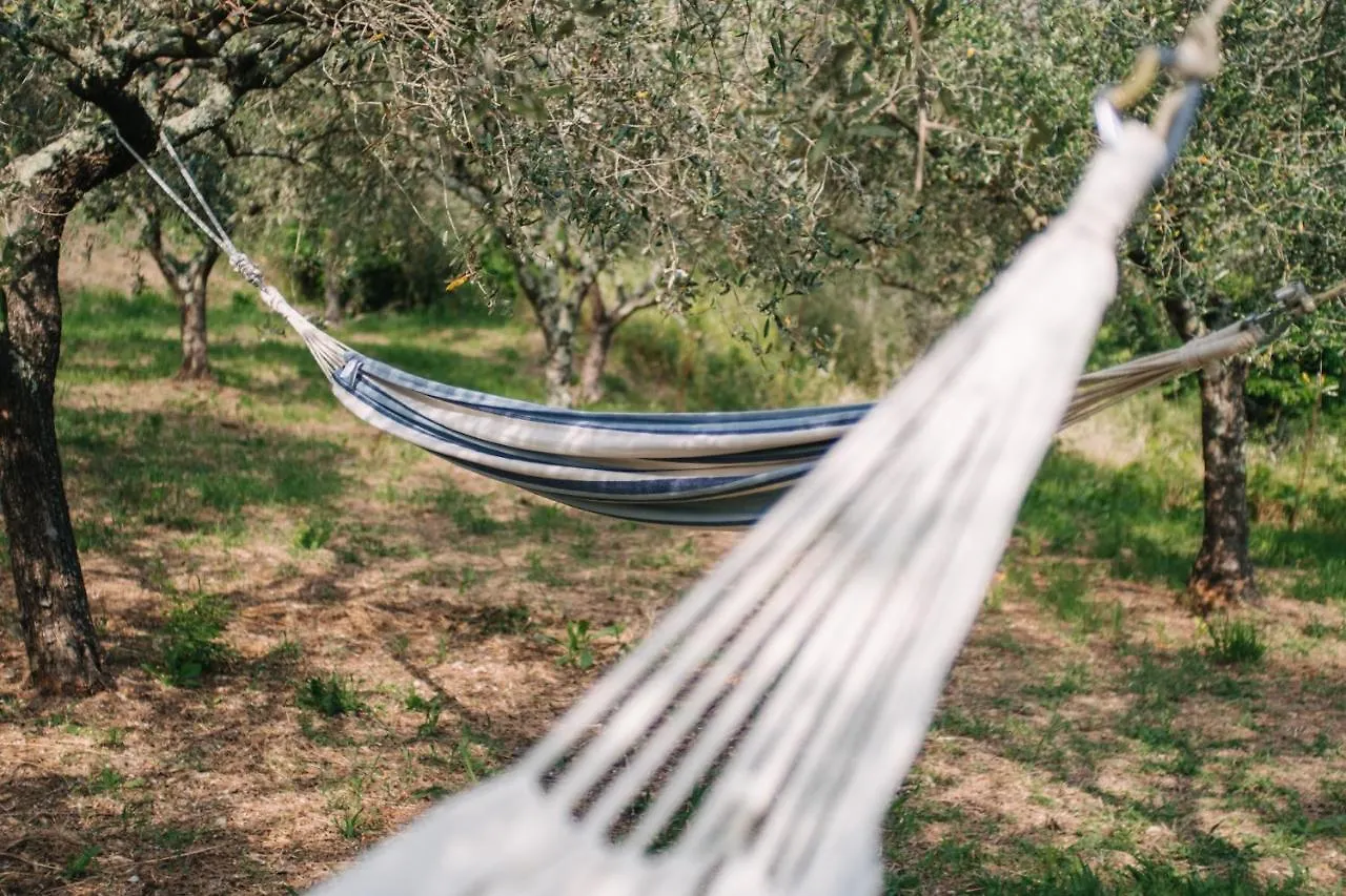 Caterina E L'Indaco Bed & Breakfast Sarzana Italy