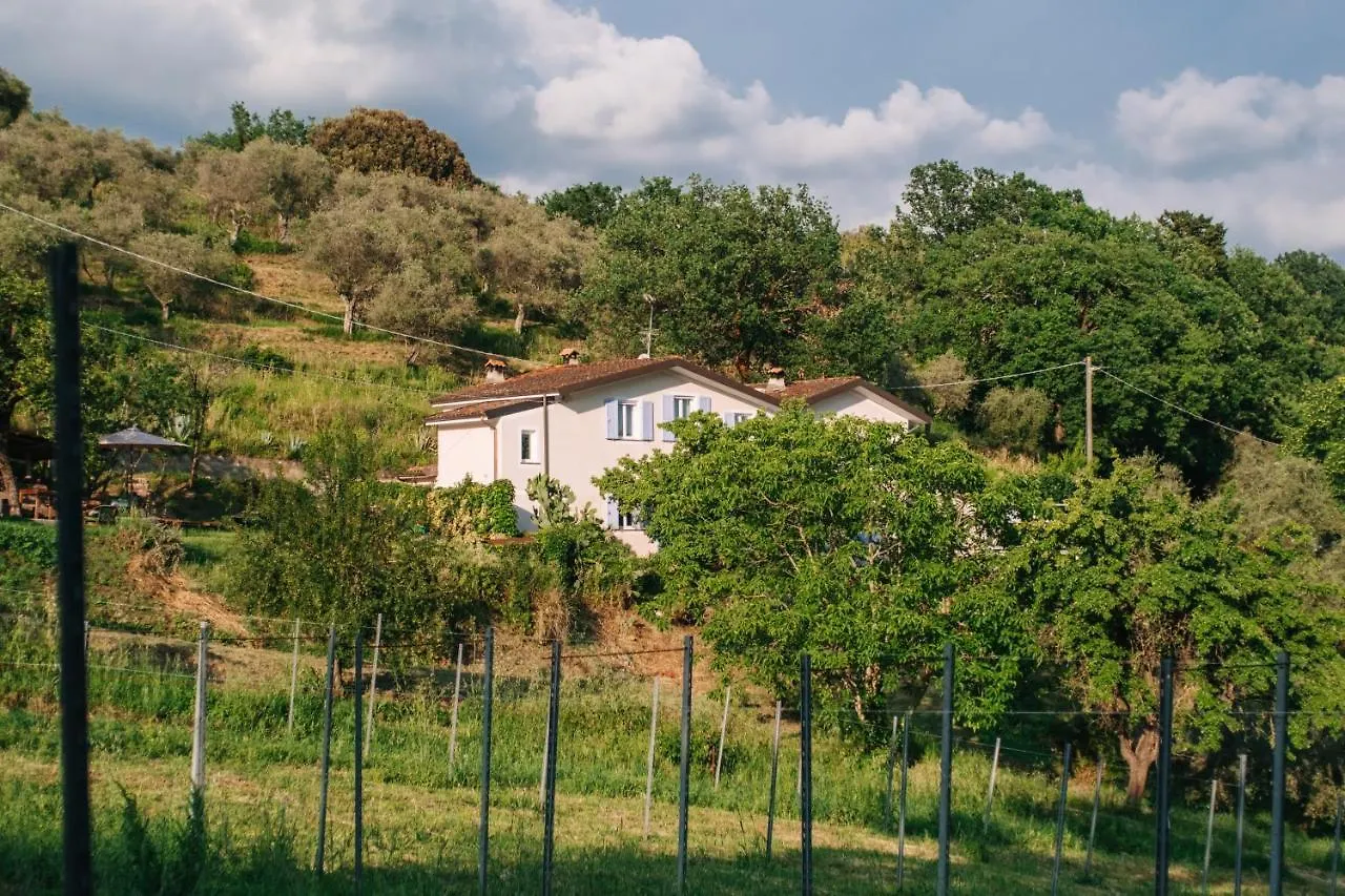 Caterina E L'Indaco Bed & Breakfast Sarzana